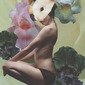 the rabbit and the iris