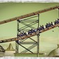 roller coaster