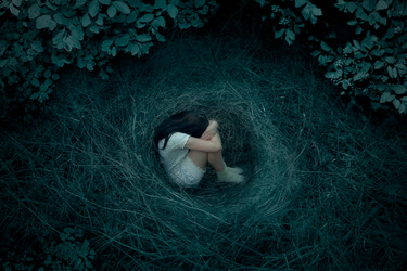 Collection Untitled; created by Tereza Haszprunarova