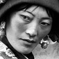Tibetan Nomad
