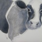 Watercolour cow 4