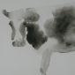 Watercolour cow study 1