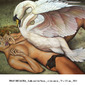 Leda and the Swan