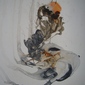 8002sen0024  40cm x 45cm  2008