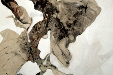 Collection abstract expressions I like; created by Cis Bakker