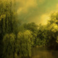 Landscape - Hamburg