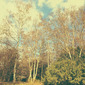Landscape, Stadtpark Hamburg