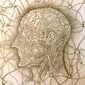 Network