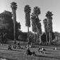 Dolores Park, San Francisco