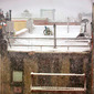 Rearview Snowstorm Sally Davies