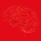 brain