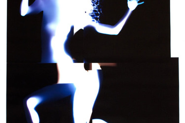 Collection photograms; created by natasha papadopoulou