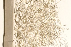 Sina Khosravi