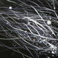 Visualizer 1