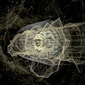 Incubation 
