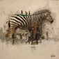 Zebra en obras
