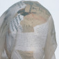 Corporate Veil