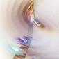 Kite in the Wind