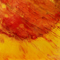 Fired Earth