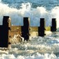 Breakwater 1