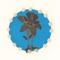 Columbine Flower; Variations On A Theme