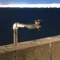 Spigot