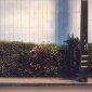 Wall and Hedge