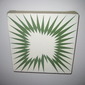 Green Flash