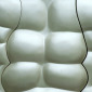 Torso
