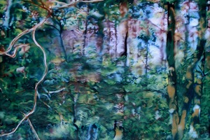 Jaccohinke Schouten