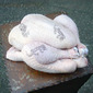 bad ckicken