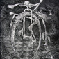 Ouroboros Perpetual Motion Machine