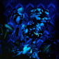 Composición de Philodendrons X / Composition of Philodendrons X