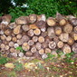 Peace pile