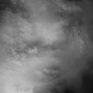 Wet Texture 0197