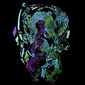 Illuminated