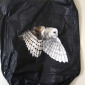Free from baggage