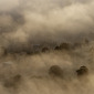 Avranches city in fog