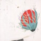 Orbis Erthyromite