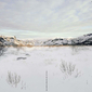 Black Minutes of Memorial Snow