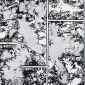 MONOTYPE MANGA