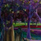 Alice Brasser