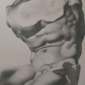 Torso