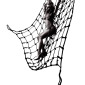 Net