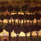 Andalucia 5
