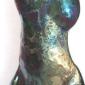 Womans Torso