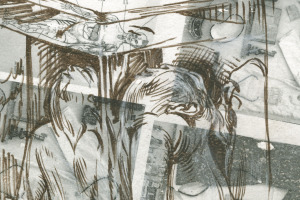 Lisa Temple-Cox