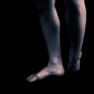 Takaki Hashimoto