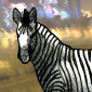 I thought I was a zebra