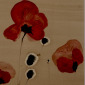 Poppy